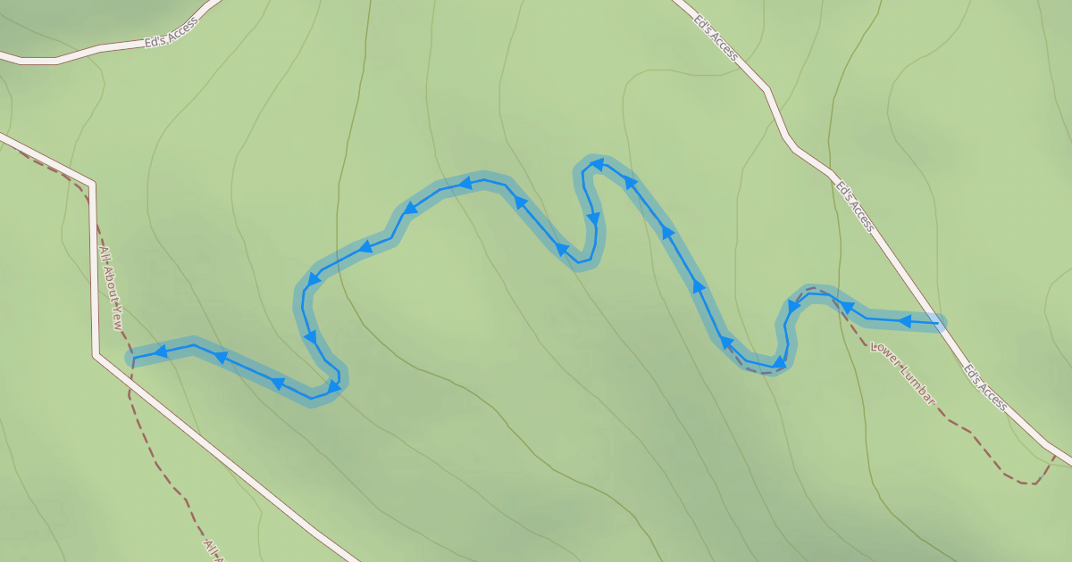 Map preview of Lower Lumbar