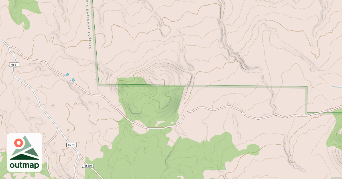 Map of USFS National Forest System Roads {90570E9F-2EBD-46D4-BF15-17720BBB1BBF}