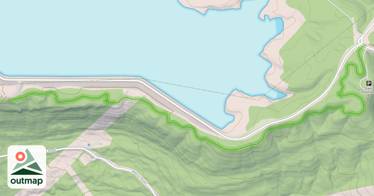 Map of Electric Avenue One