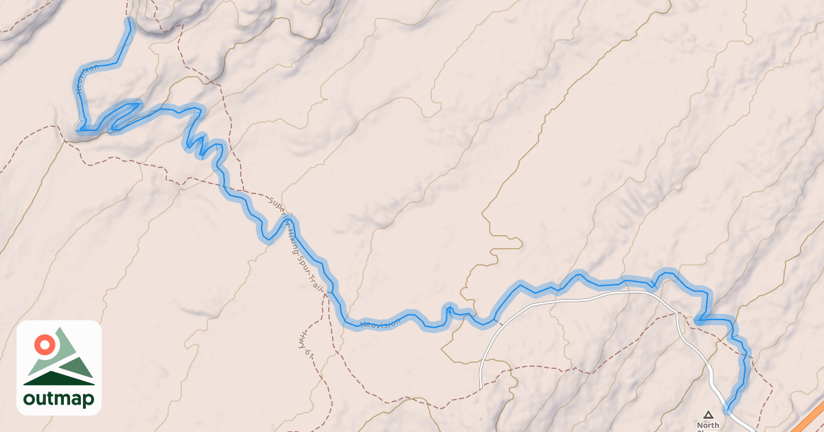 Map of Neovision