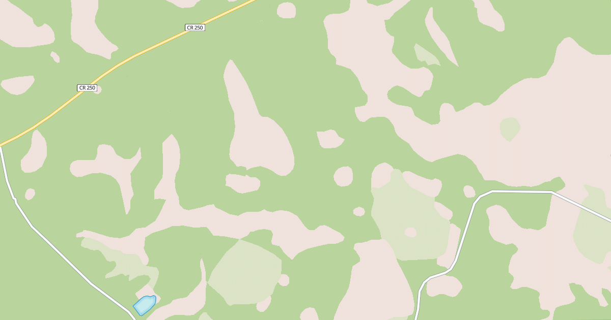 Map preview of USFS National Forest System Roads {08619DFF-48D9-4C62-813A-E773A34A202A}