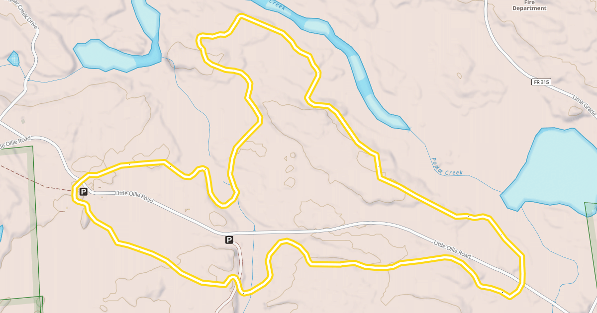 Map preview of Lace Lake Trail