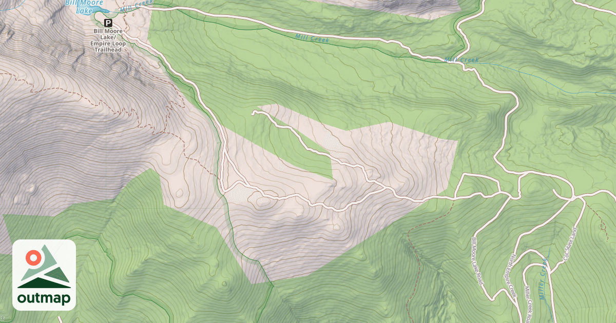 Map of BILL MOORE LAKE
