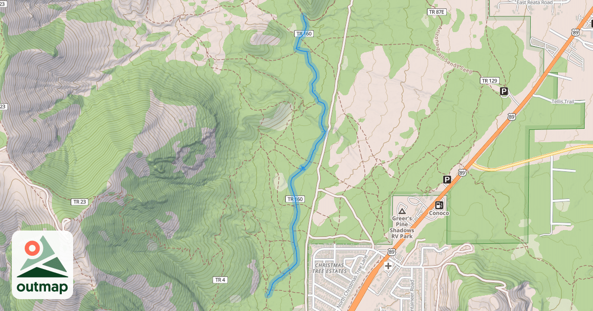 Map of Christmas Tree Trail