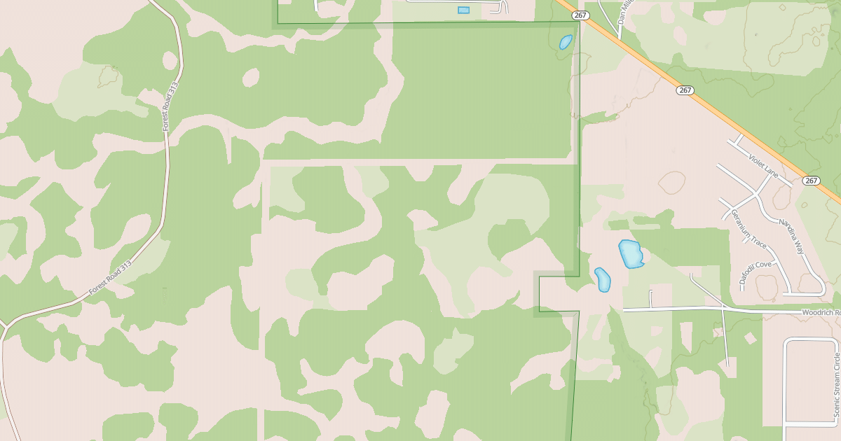 Map preview of USFS Motor Vehicle Use Map Roads {7F708287-C38D-4BEF-AC7D-89EE04B90717}