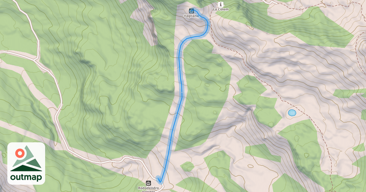 Map of (65) Vagliana