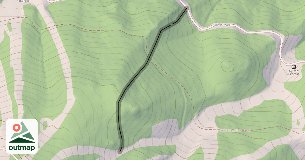 Map of Triangle Trees