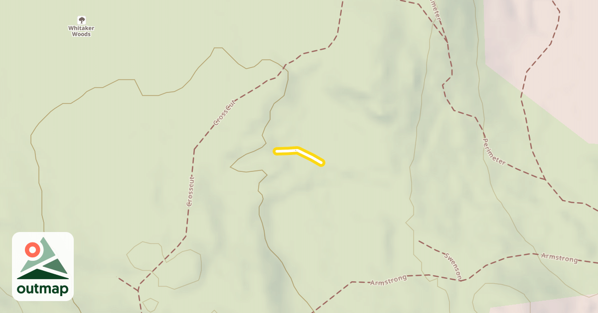 Map of Schuss