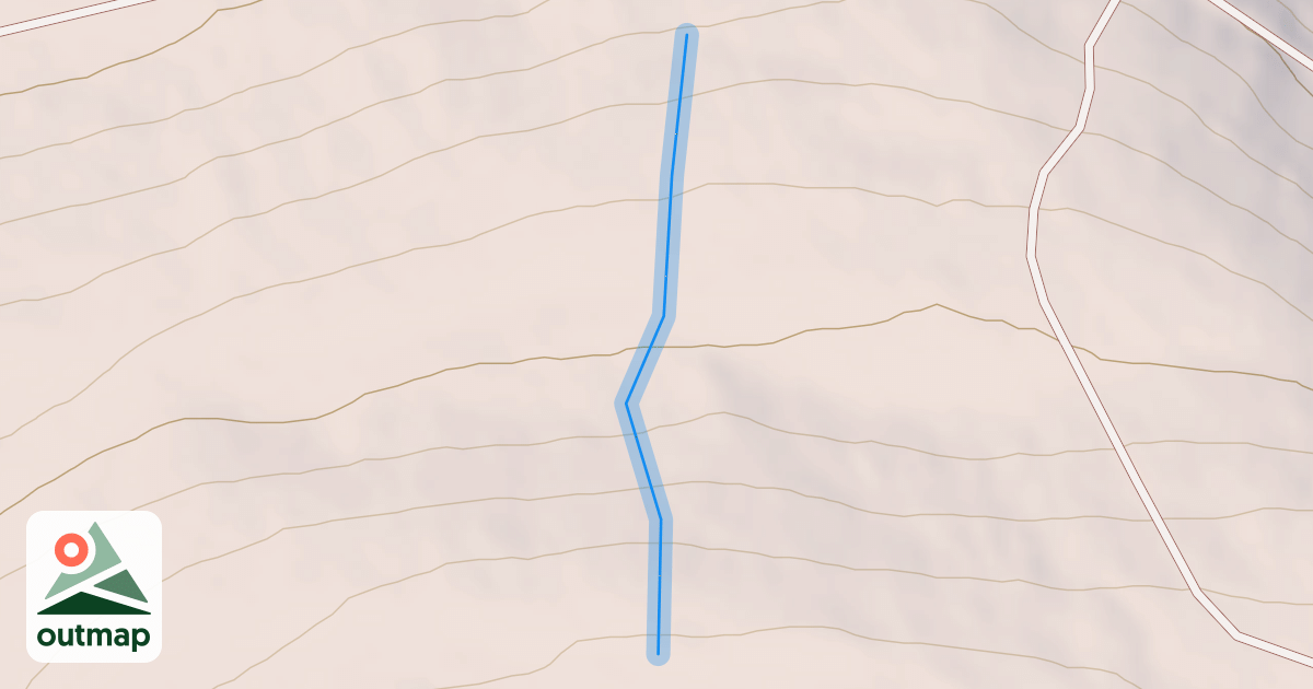 Map of Snake Tracks