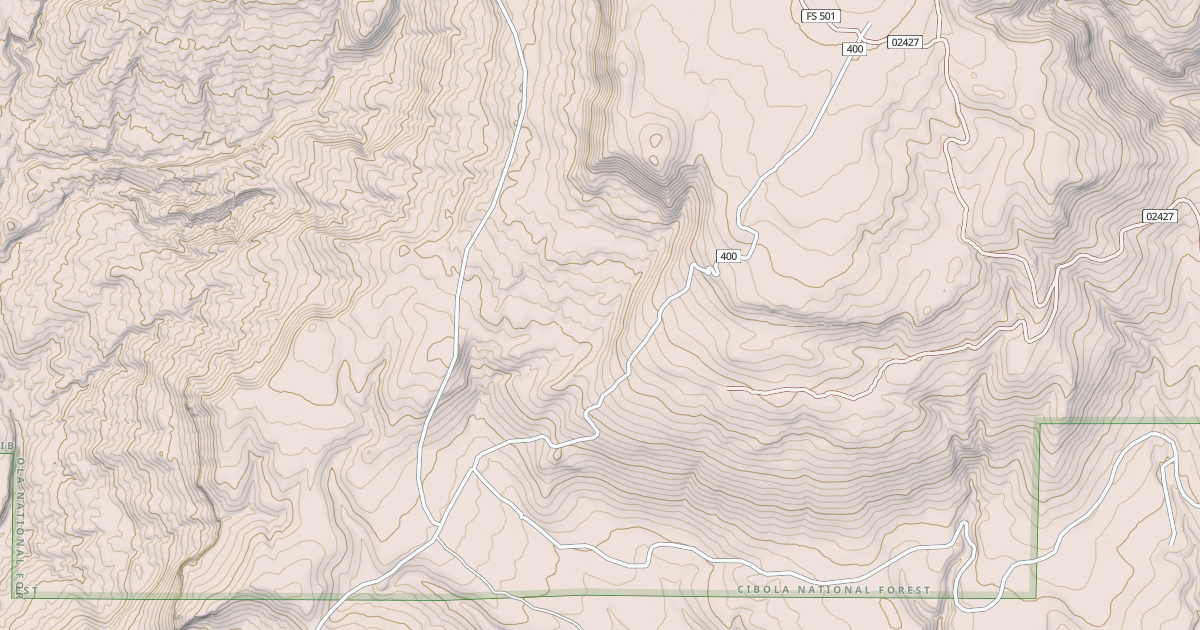 Map preview of USFS National Forest System Roads {1580D514-8F23-4A66-B205-BBE87BD9263E}