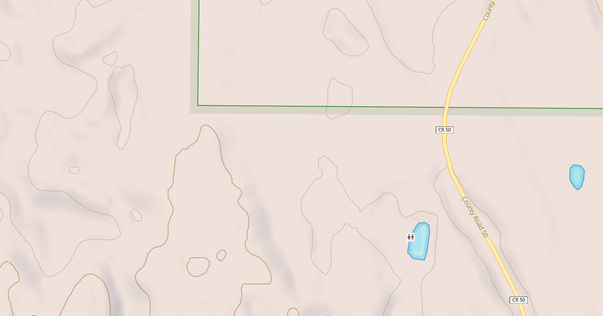 Map preview of CASS CO. 50 SPUR 2810