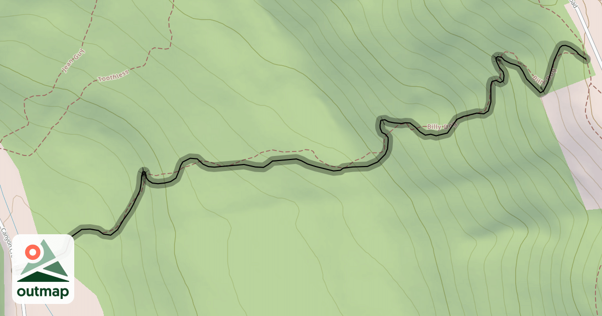Map of Billy Dog