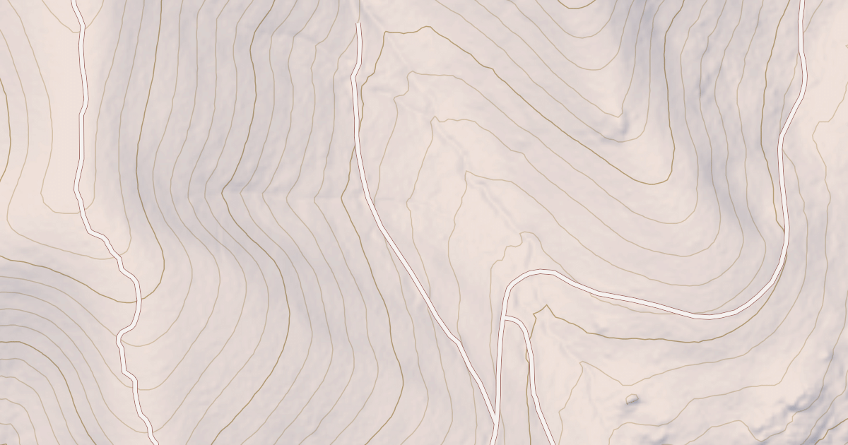 Map preview of USFS Motor Vehicle Use Map Roads {35B0D2C8-F540-4C44-8519-5315F67CC172}