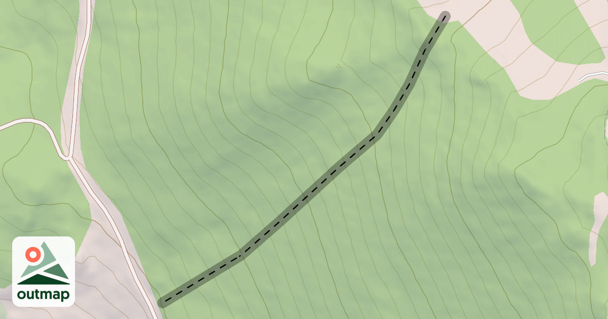 Map of Upper Tamarack Woods