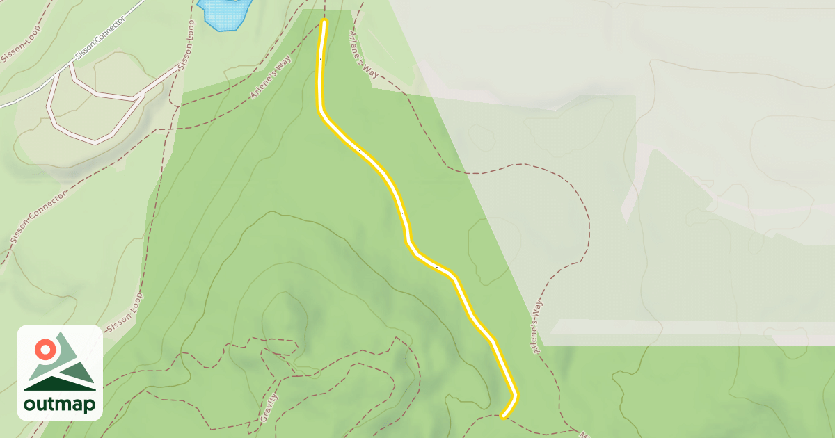 Map of Arlene's Way