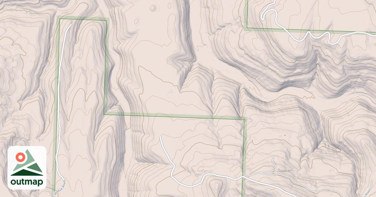 Map of USFS National Forest System Roads {56B53D8A-EEE9-43F9-9A8C-01845BABF16E}