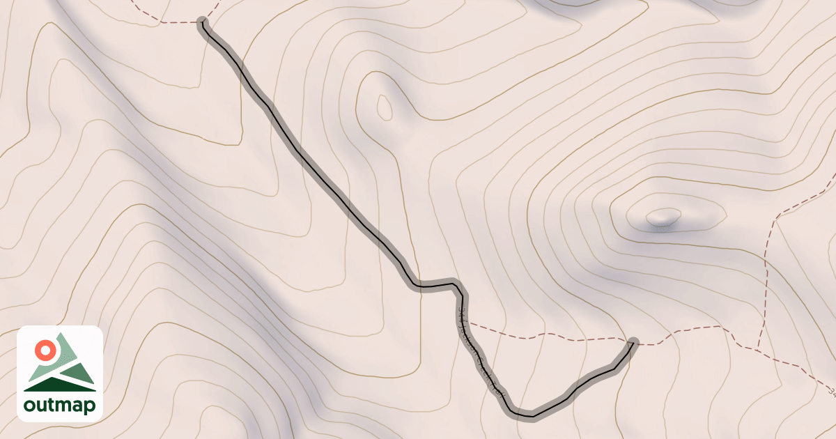 Map of 344 Jackson Creek Trail