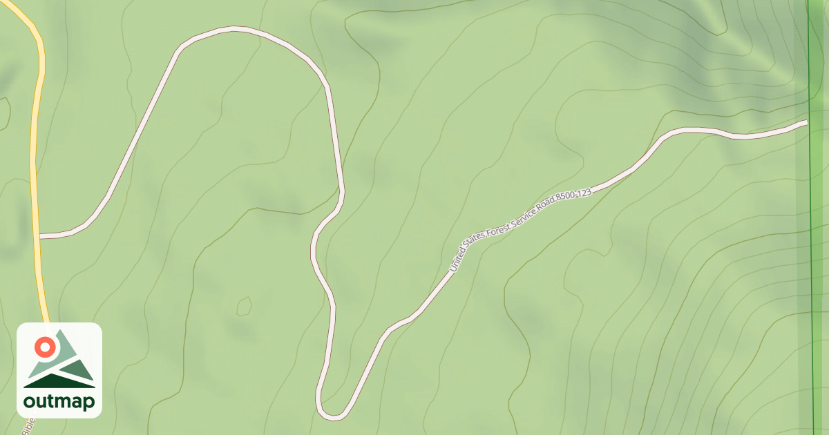 Map of USFS National Forest System Roads {F711B458-C670-4025-AB1F-5C298A503218}