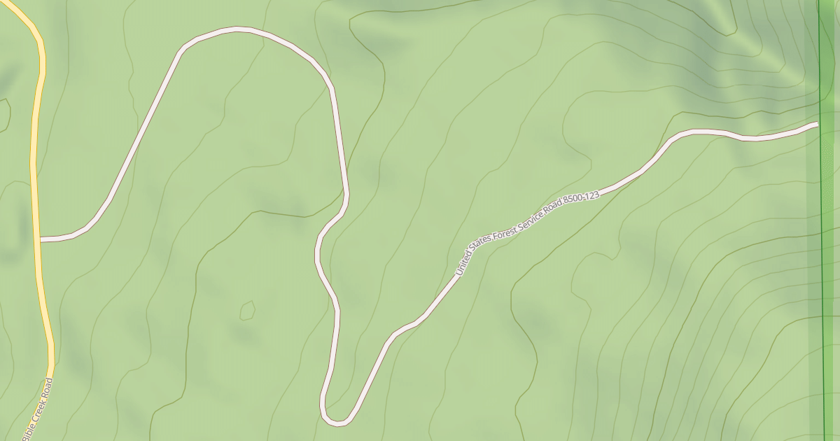 Map preview of USFS National Forest System Roads {F711B458-C670-4025-AB1F-5C298A503218}