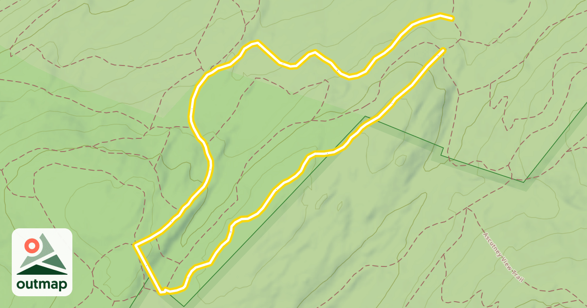 Map of Back Loop