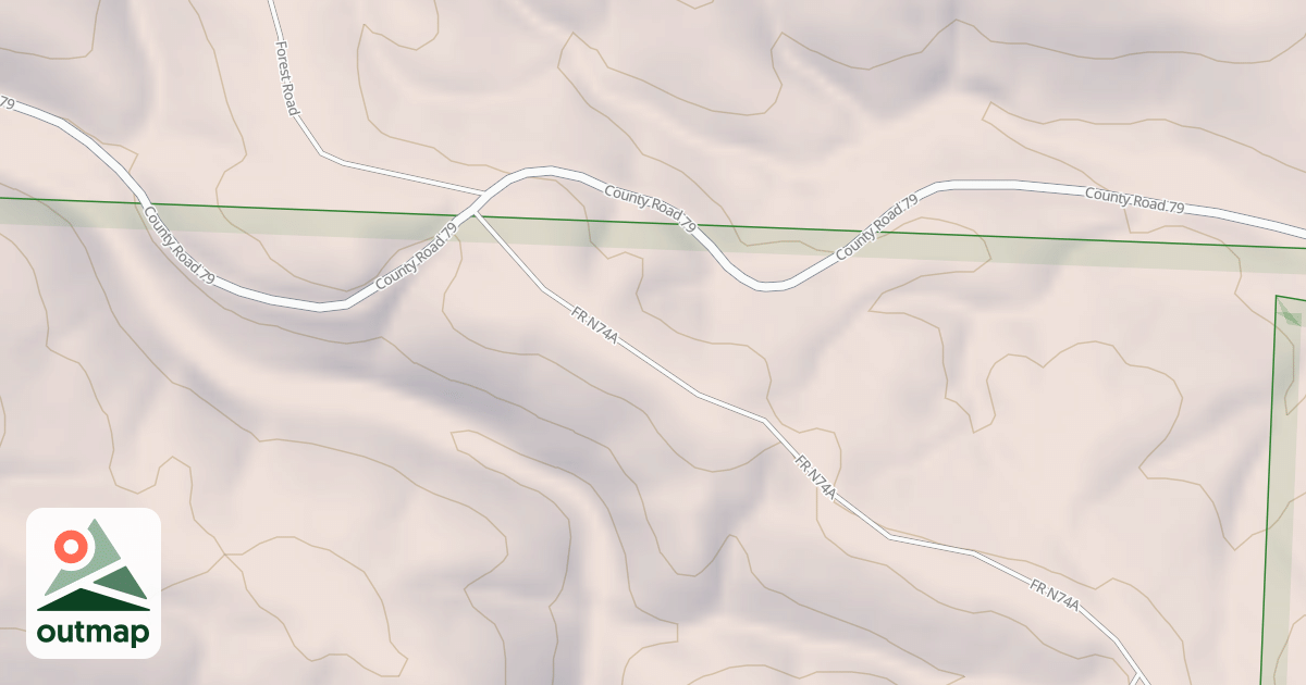 Map of USFS National Forest System Roads {E431DB90-D095-41ED-8AD1-52932124A1FB}