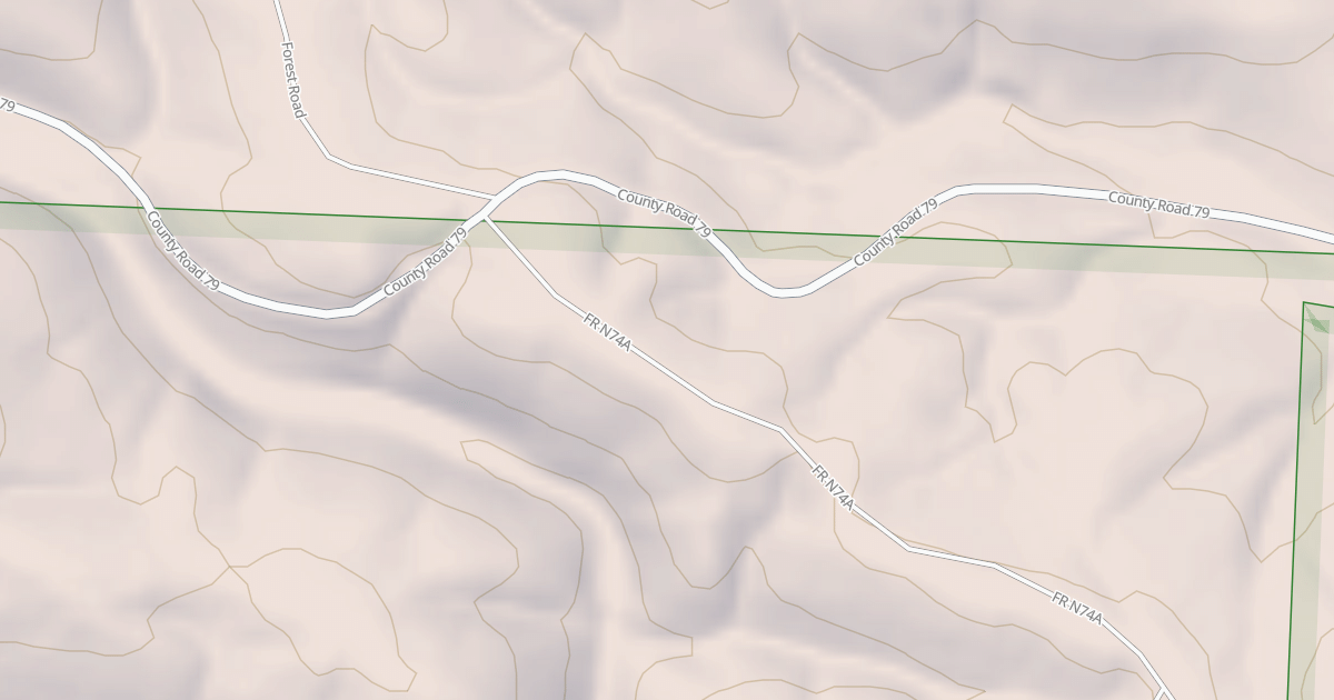 Map preview of USFS National Forest System Roads {E431DB90-D095-41ED-8AD1-52932124A1FB}