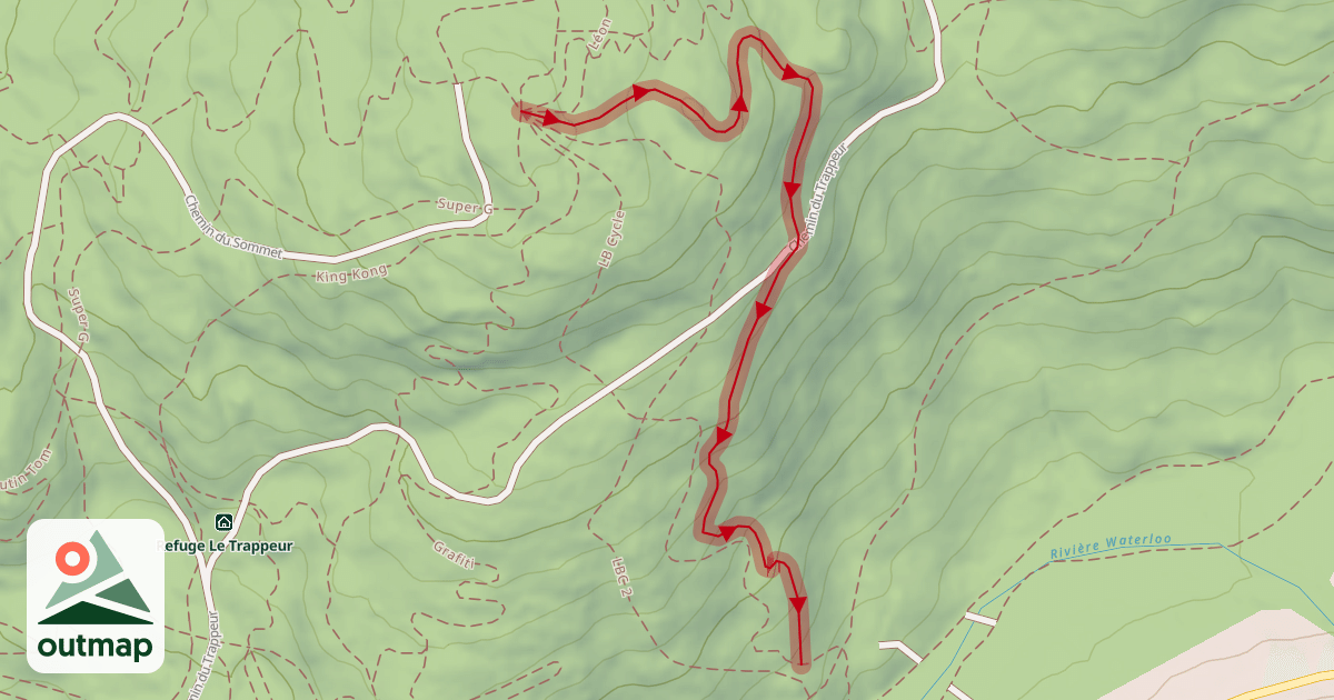 Map of Viking