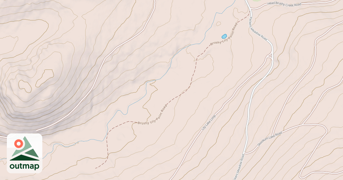 Map of BRUSHY LILY POINT
