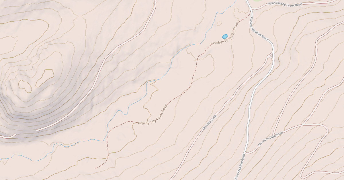 Map preview of BRUSHY LILY POINT