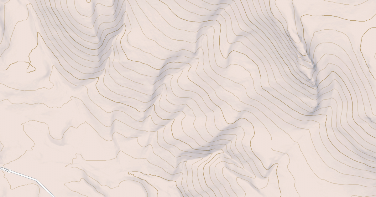 Map preview of USFS National Forest System Roads {0D9F9A81-257F-4FEA-9833-76A5CE6F4B66}