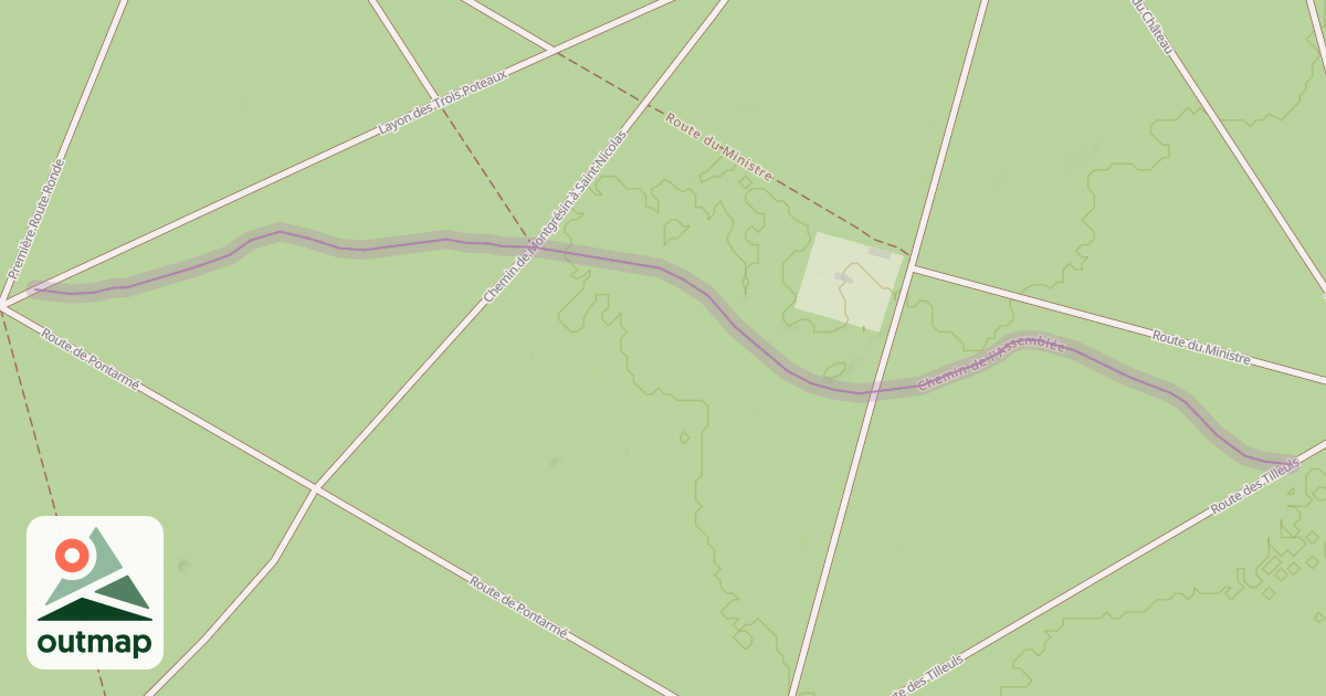 Map of Chemin de l'Assemblée