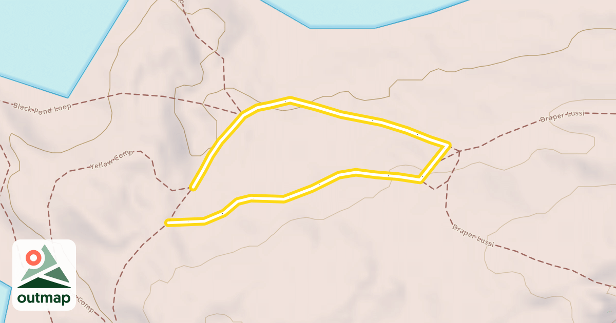 Map of Yellow Comp