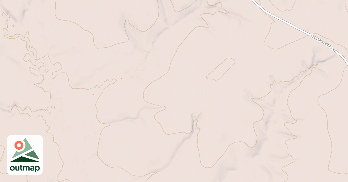 Map of USFS National Forest System Roads {04A8FC39-AD84-4CCC-AB43-289CCE2CBFA2}