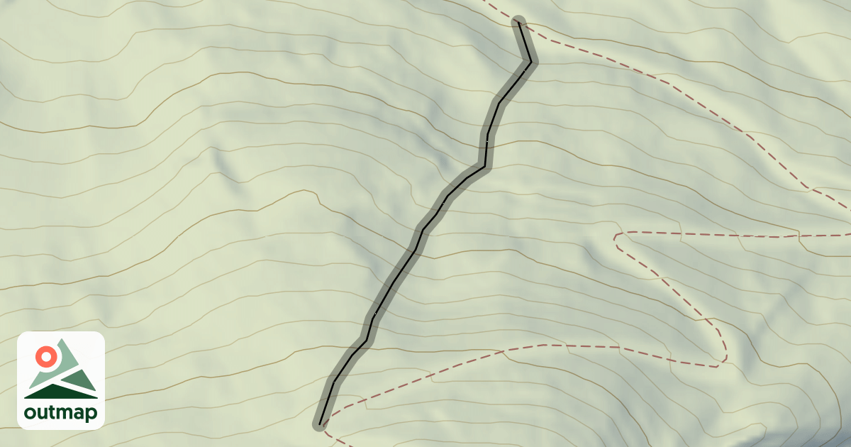 Map of Tetras