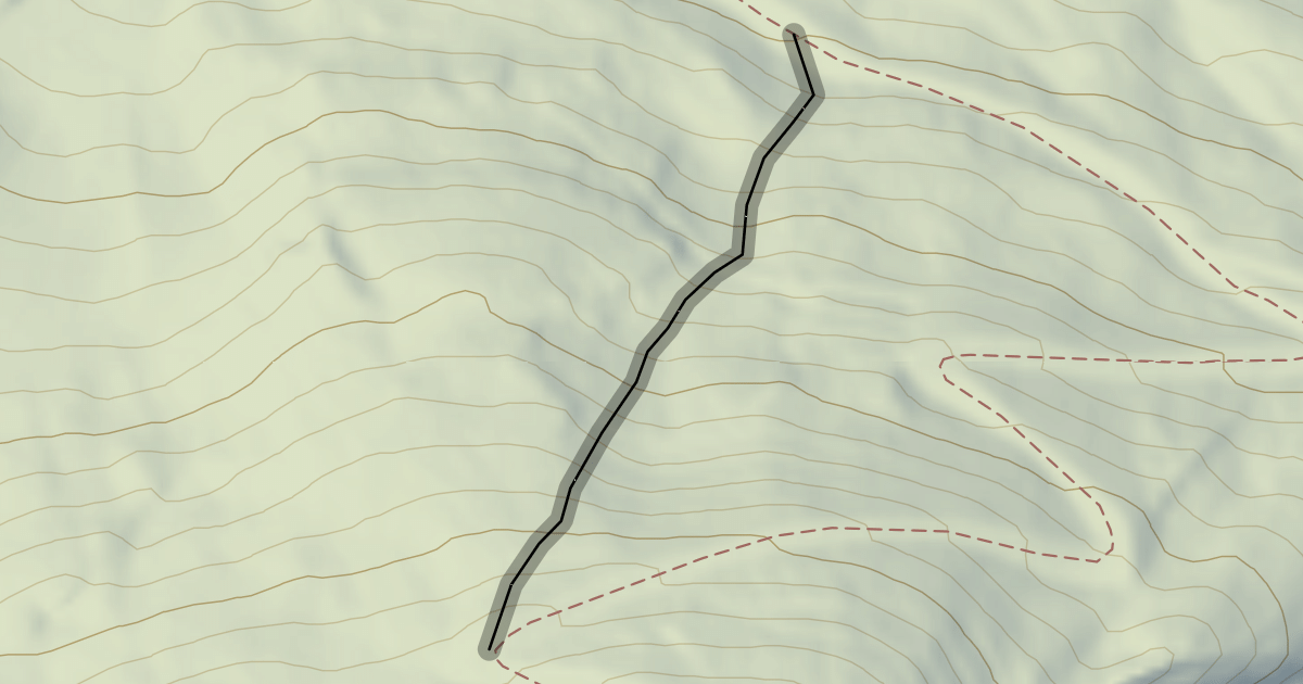 Map preview of Tetras