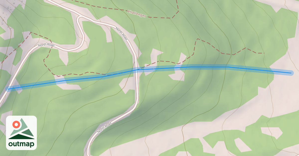 Map of Forbidden Forest