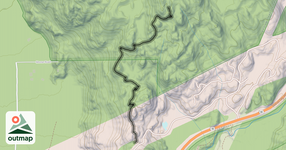 Map of Chicken Fingers