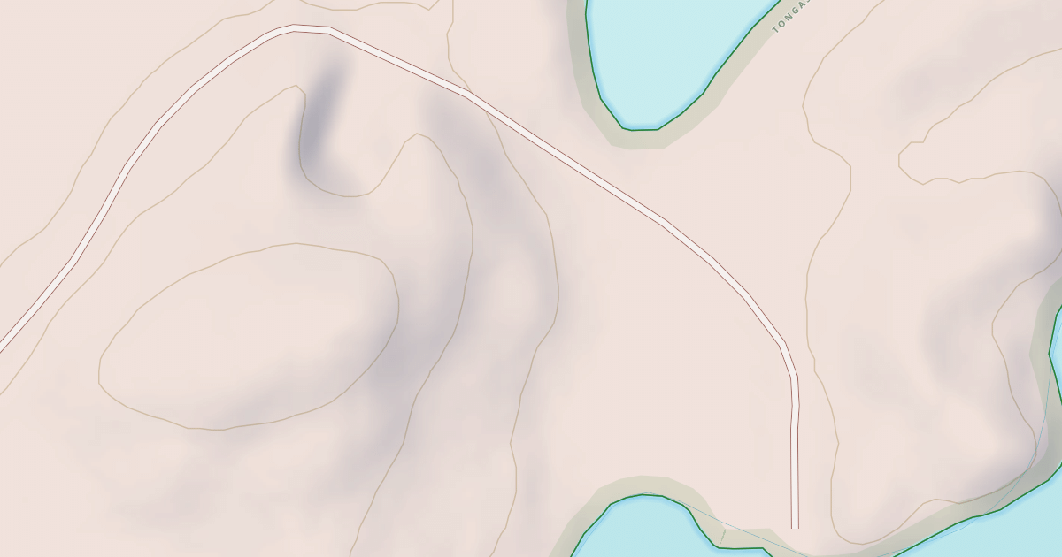 Map preview of USFS National Forest System Roads {ED98E23E-CDCA-4E80-98DB-54F43B670CF0}