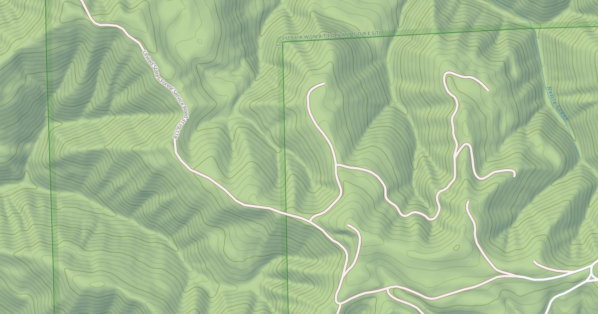 Map preview of USFS National Forest System Roads {1FAEFF01-2216-46EC-9B3C-3505F98E89B6}