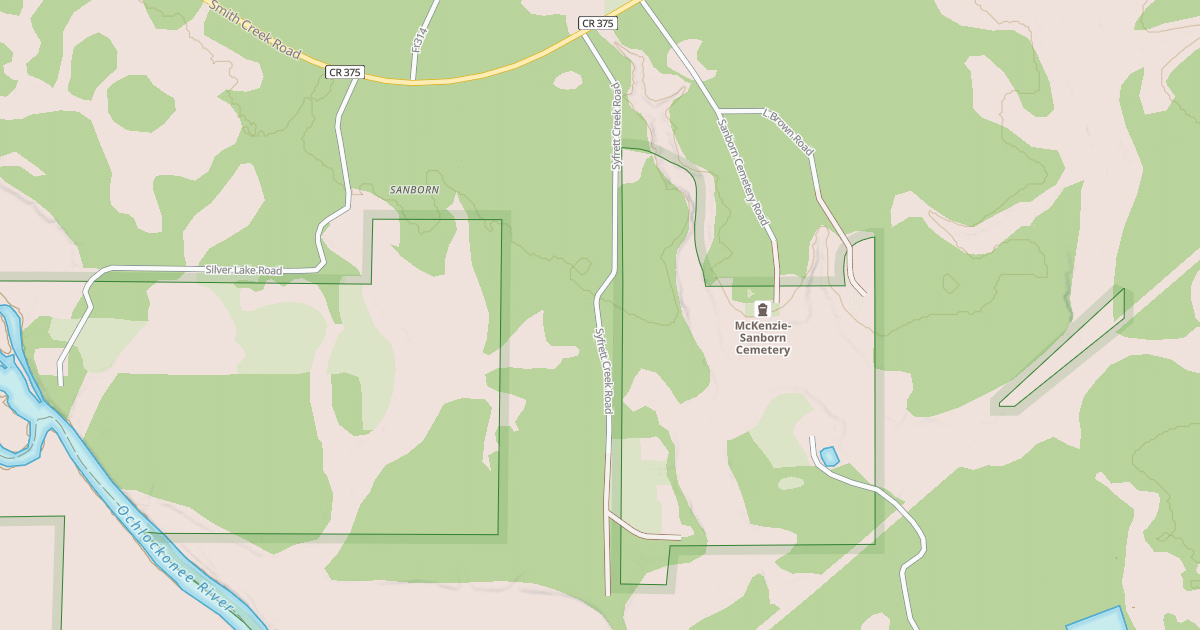 Map preview of USFS National Forest System Roads {4521FB14-3DBE-4E3E-9C27-3B80DA803EFA}