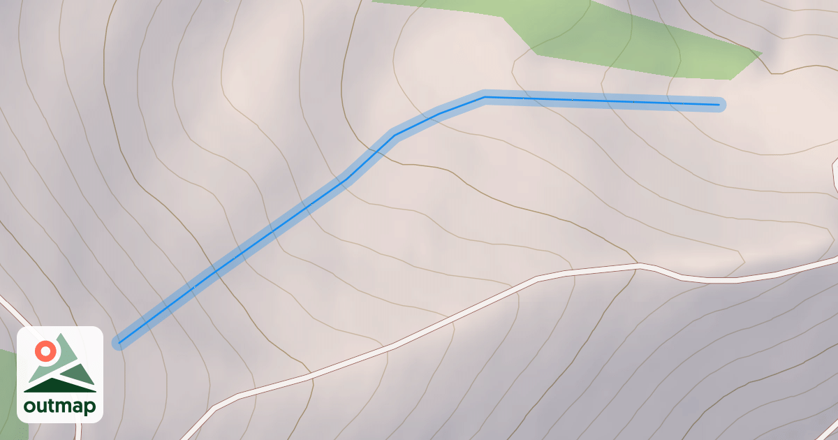 Map of Pro Course