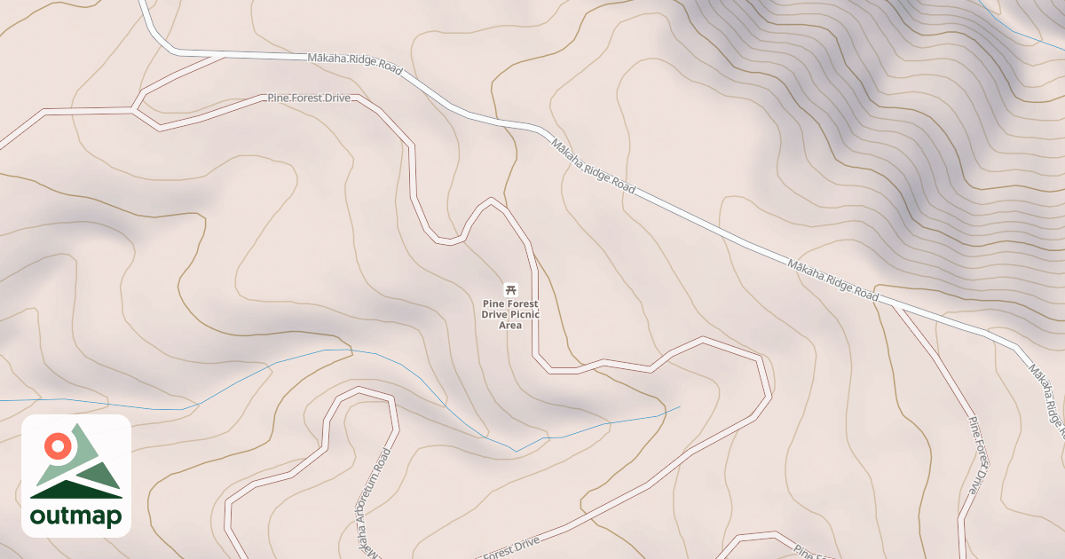 Map of Pine Forest Drive