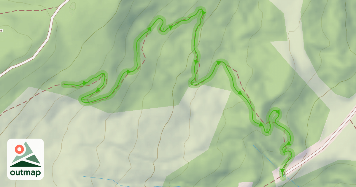 Map of La Wizz