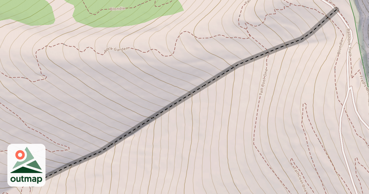 Map of Ladies Waist