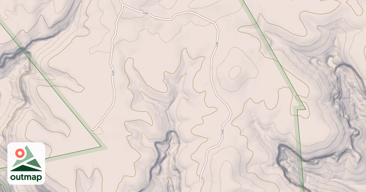 Map of SALT
