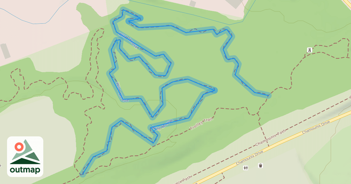 Map of Wild Mouse