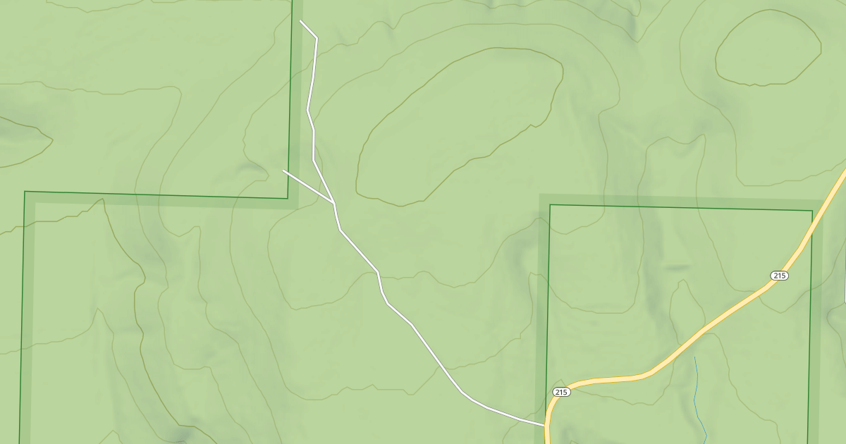Map preview of USFS National Forest System Roads {CB231017-6D35-4440-81BD-924BBCA66750}