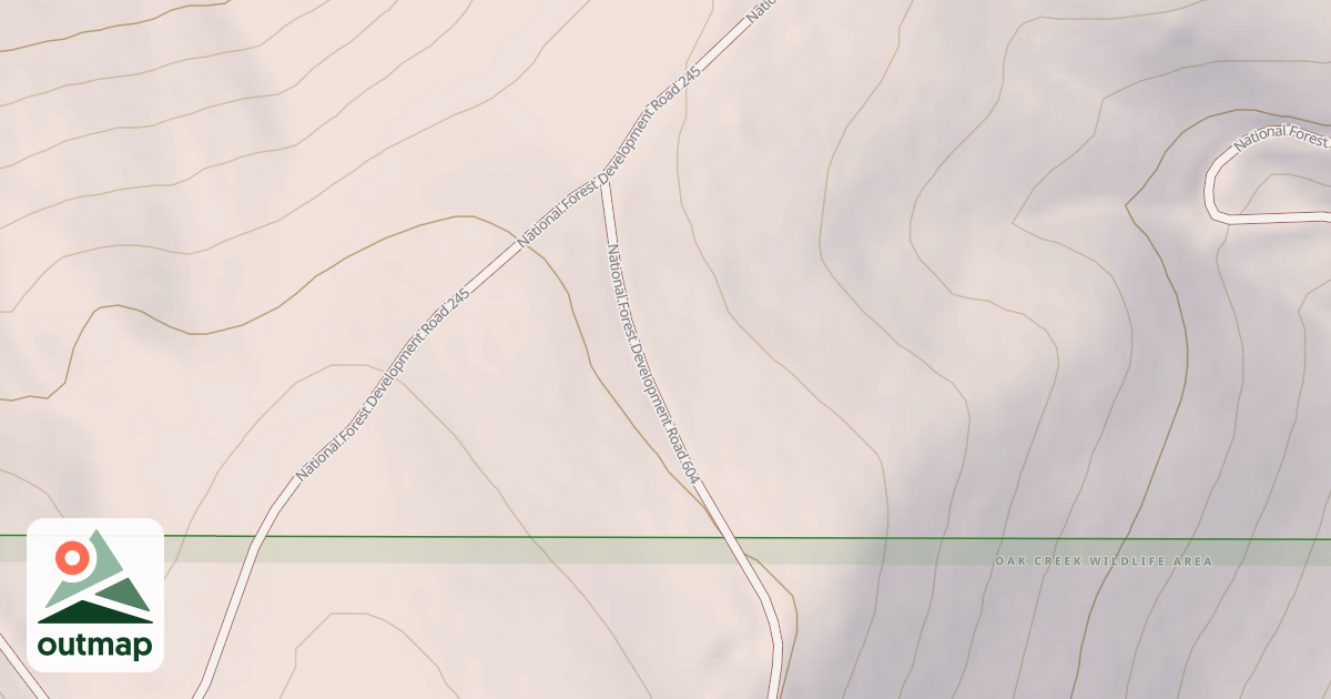 Map of USFS National Forest System Roads {738806DD-11D9-4A9A-9D40-5DF11145225A}