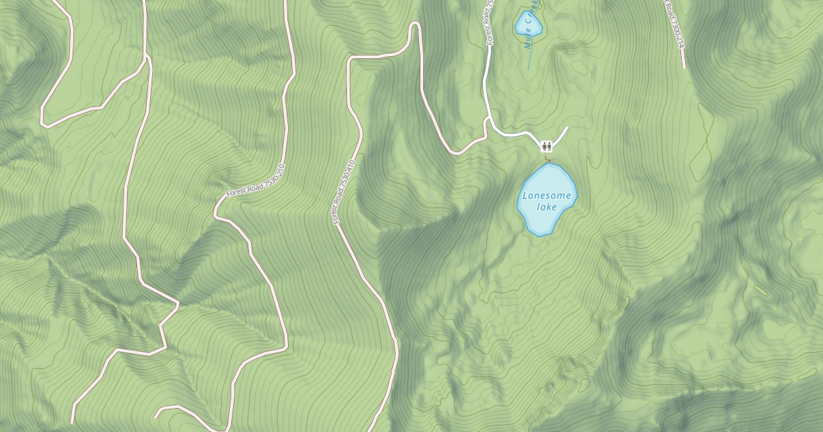 Map preview of USFS National Forest System Roads {733DB8AB-FE7B-4AFD-8A94-E9A26E60D5C5}