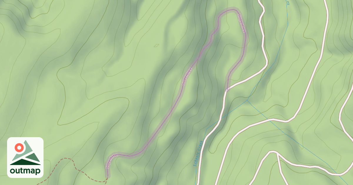 Map of Supertree